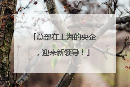 总部在上海的央企，迎来新领导！