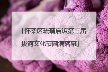 怀柔区琉璃庙镇第三届拔河文化节圆满落幕