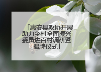 惠安县政协开展助力乡村全面振兴委员进百村调研暨揭牌仪式
