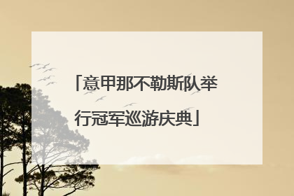 意甲那不勒斯队举行冠军巡游庆典