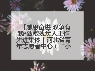 感恩奋进 双争有我•致敬残疾人工作先进集体丨河北省青年志愿者中心（“小橘灯”助残接力计划实施团队）：用温暖陪伴，守护特殊孩子成长