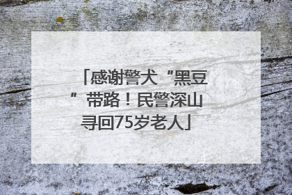 感谢警犬“黑豆”带路！民警深山寻回75岁老人