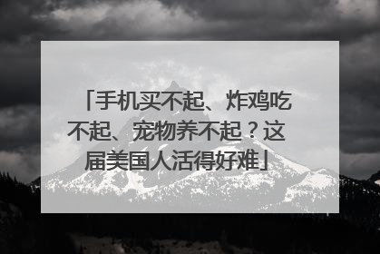 手机买不起、炸鸡吃不起、宠物养不起？这届美国人活得好难