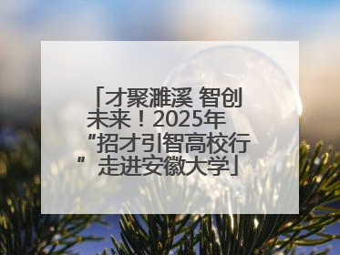 才聚濉溪 智创未来！2025年“招才引智高校行”走进安徽大学