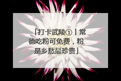 打卡武陵①丨常德吃粉可免费，粉是乡愁最珍贵