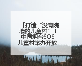打造“没有院墙的儿童村”！中国烟台SOS儿童村举办开放日活动