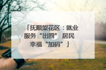 抚顺望花区：就业服务“出圈” 居民幸福“加码”