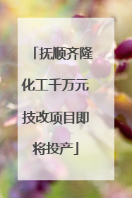 抚顺齐隆化工千万元技改项目即将投产