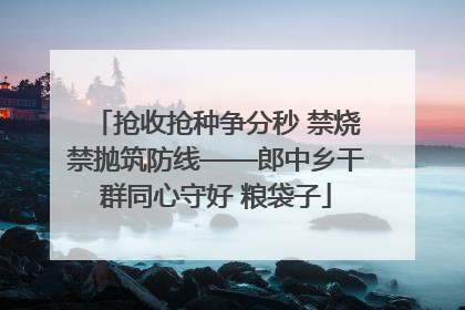 抢收抢种争分秒 禁烧禁抛筑防线——郎中乡干群同心守好 粮袋子