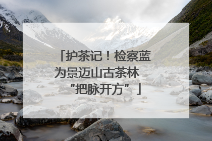 护茶记！检察蓝为景迈山古茶林 “把脉开方”