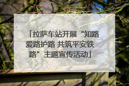 拉萨车站开展“知路爱路护路 共筑平安铁路”主题宣传活动