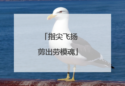 指尖飞扬 剪出劳模魂