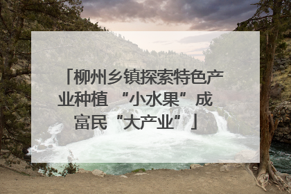 柳州乡镇探索特色产业种植 “小水果”成富民“大产业”