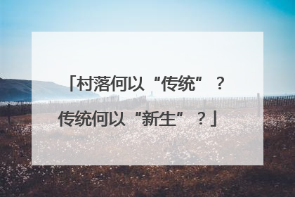 村落何以“传统”？传统何以“新生”？