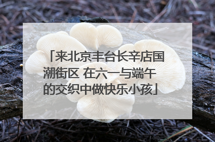 来北京丰台长辛店国潮街区 在六一与端午的交织中做快乐小孩