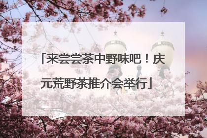 来尝尝茶中野味吧！庆元荒野茶推介会举行