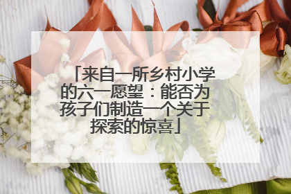 来自一所乡村小学的六一愿望：能否为孩子们制造一个关于探索的惊喜