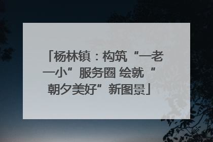 杨林镇：构筑“一老一小”服务圈 绘就“朝夕美好”新图景