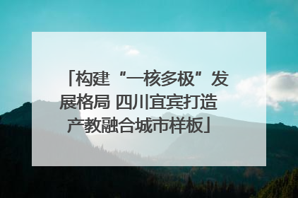 构建“一核多极”发展格局 四川宜宾打造产教融合城市样板