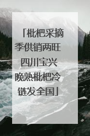 枇杷采摘季供销两旺 四川宝兴晚熟枇杷冷链发全国