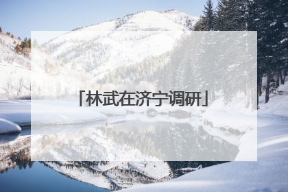 林武在济宁调研