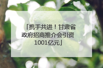 携手共进！甘肃省政府招商推介会引资1001亿元