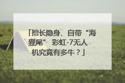 擅长隐身、自带“海狸尾” 彩虹-7无人机究竟有多牛？