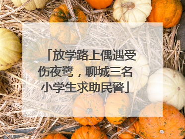 放学路上偶遇受伤夜鹭，聊城三名小学生求助民警