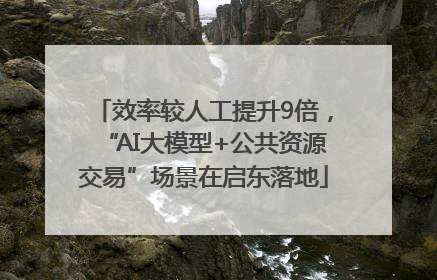 效率较人工提升9倍，“AI大模型+公共资源交易”场景在启东落地
