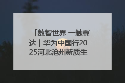 数智世界 一触冀达｜华为中国行2025河北沧州新质生产力峰会成功举办