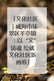 文化社区｜威海市环翠区羊亭镇：以“文”铸魂 绘就文化社区新画卷