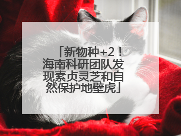 新物种+2！海南科研团队发现素贞灵芝和自然保护地壁虎