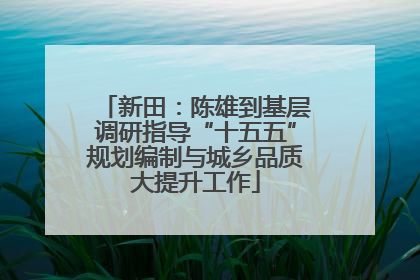 新田：陈雄到基层调研指导“十五五”规划编制与城乡品质大提升工作