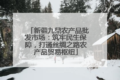 新疆九鼎农产品批发市场：筑牢民生保障，打通丝绸之路农产品贸易枢纽