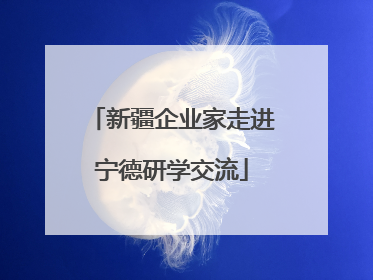 新疆企业家走进宁德研学交流