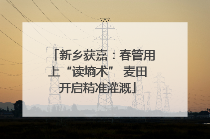 新乡获嘉：春管用上“读墒术” 麦田开启精准灌溉