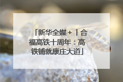 新华全媒＋丨合福高铁十周年：高铁铺就康庄大道