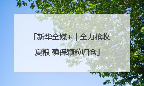 新华全媒+｜全力抢收夏粮 确保颗粒归仓