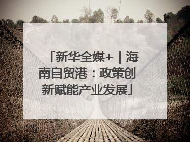 新华全媒+｜海南自贸港：政策创新赋能产业发展