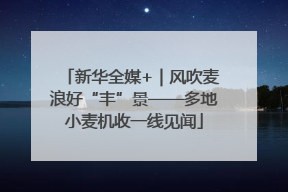 新华全媒+｜风吹麦浪好“丰”景——多地小麦机收一线见闻