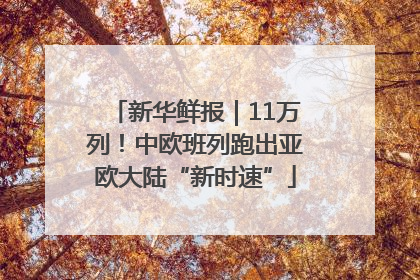 新华鲜报｜11万列！中欧班列跑出亚欧大陆“新时速”