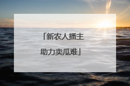 新农人播主 助力卖瓜难