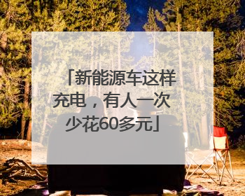 新能源车这样充电，有人一次少花60多元