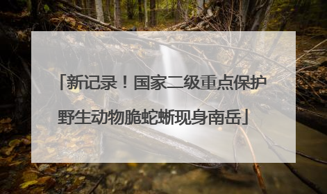 新记录！国家二级重点保护野生动物脆蛇蜥现身南岳