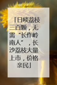 日啖荔枝三百颗，无需“长作岭南人”，长沙荔枝大量上市，价格亲民
