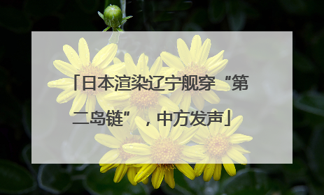 日本渲染辽宁舰穿“第二岛链”，中方发声