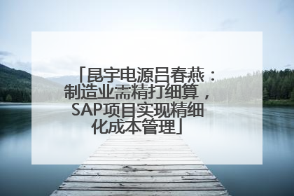 昆宇电源吕春燕：制造业需精打细算，SAP项目实现精细化成本管理