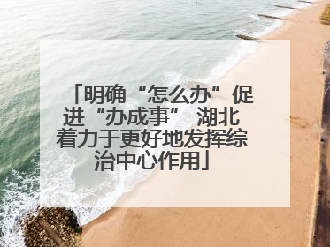 明确“怎么办”促进“办成事” 湖北着力于更好地发挥综治中心作用
