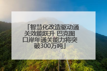 智慧化改造驱动通关效能跃升 巴克图口岸年通关能力将突破300万吨