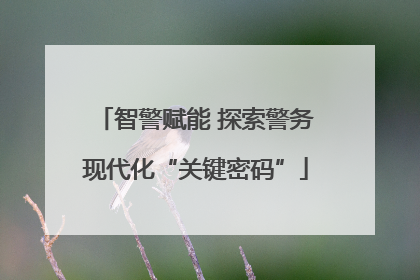 智警赋能 探索警务现代化“关键密码”